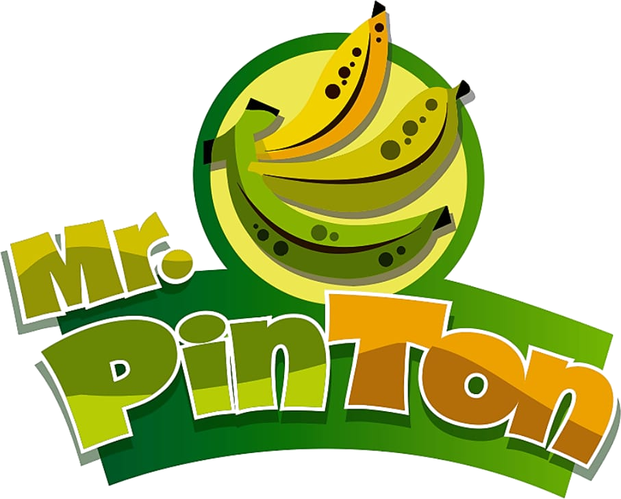 Logo de Mister Pintón